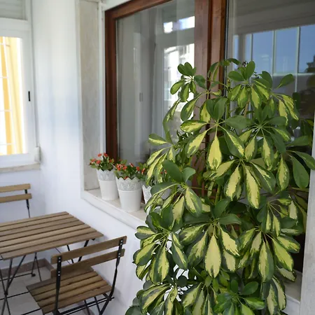 Gæstehus Casa Amarela Belem Lisboa