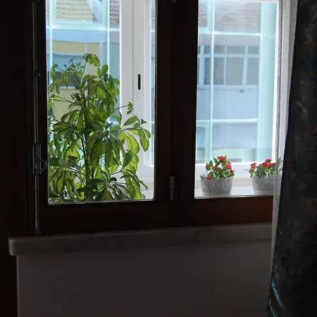 Casa Amarela Belem ゲストハウス