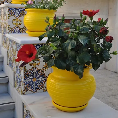 בית הארחה Casa Amarela Belem